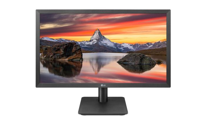 LG 22 FHD Monitor
